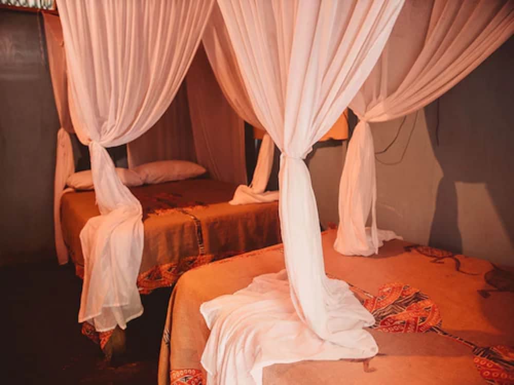 Great Huts - Photo 26