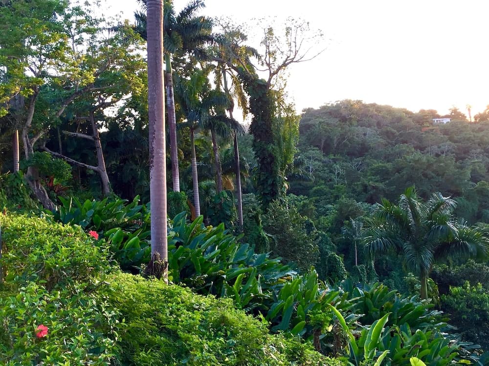 Goblin Hill Villas at San San - Photo 135