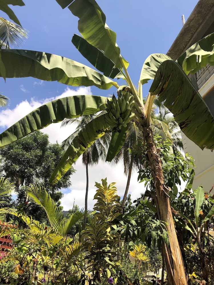 Hotel Inoubliable - Photo 65