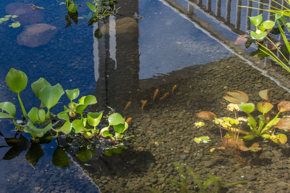 Hotel Saint - Georges - Photo 95