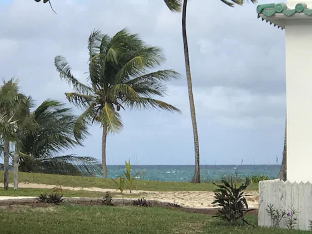 La Bougainvillea Hotel and Villas - Photo 161