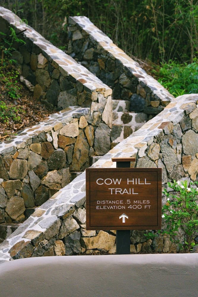 Rosewood Little Dix Bay - Photo 85