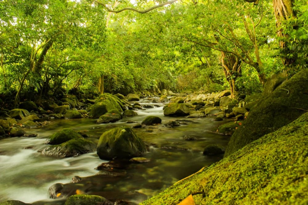 Citrus Creek Plantation - Photo 104