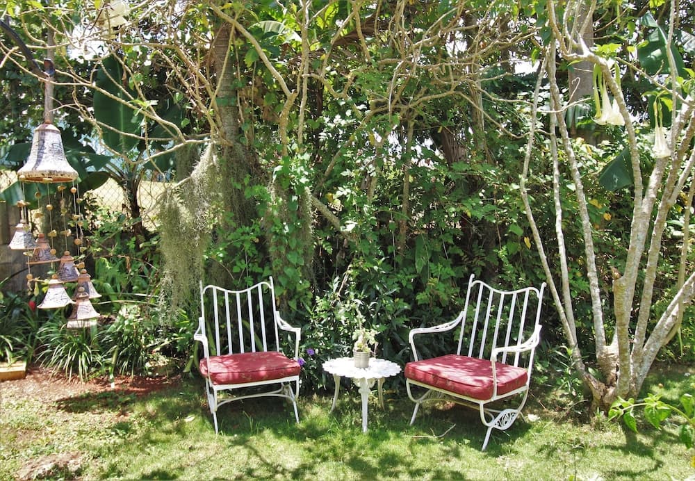 Casa da Buena Vista - Photo 64