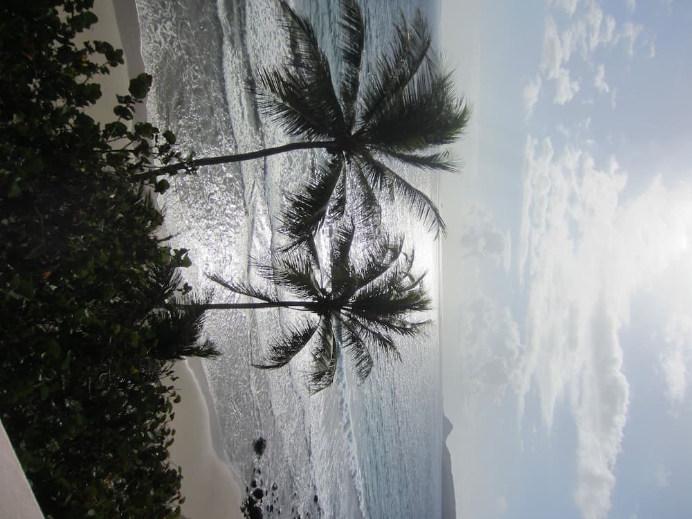 Petite Anse Hotel - Photo 47