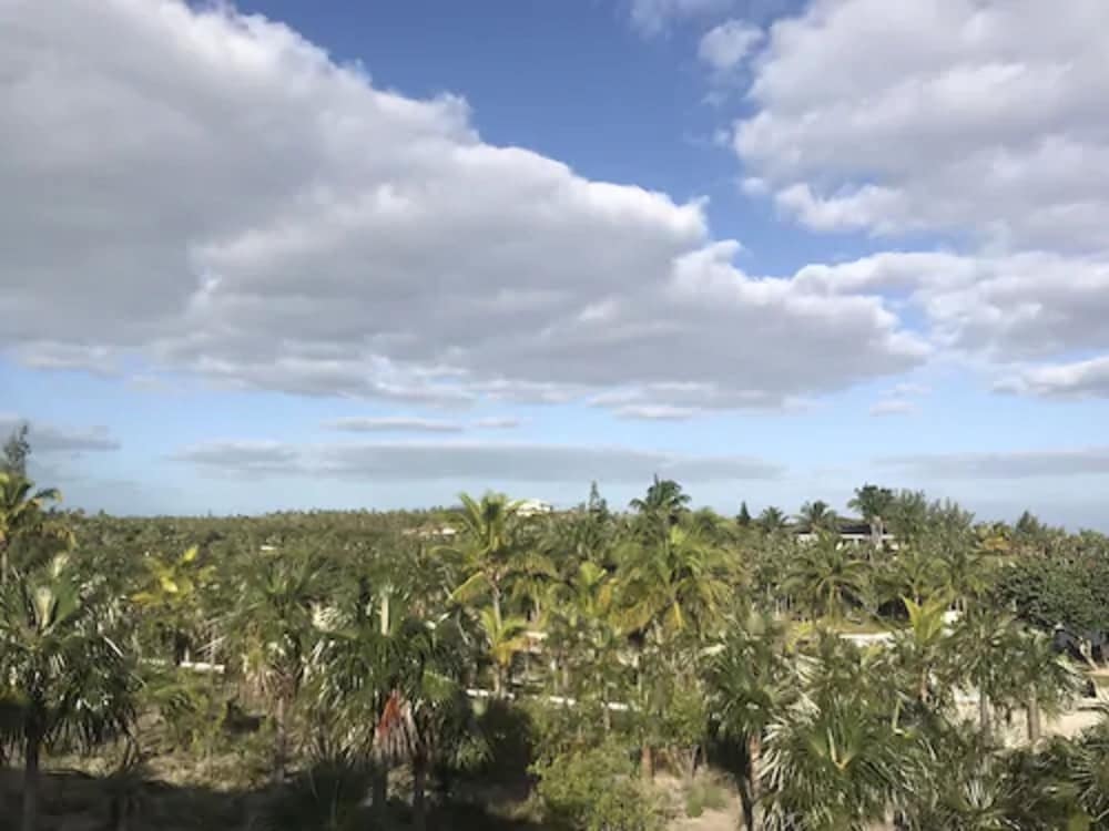 La Bougainvillea Hotel and Villas - Photo 154