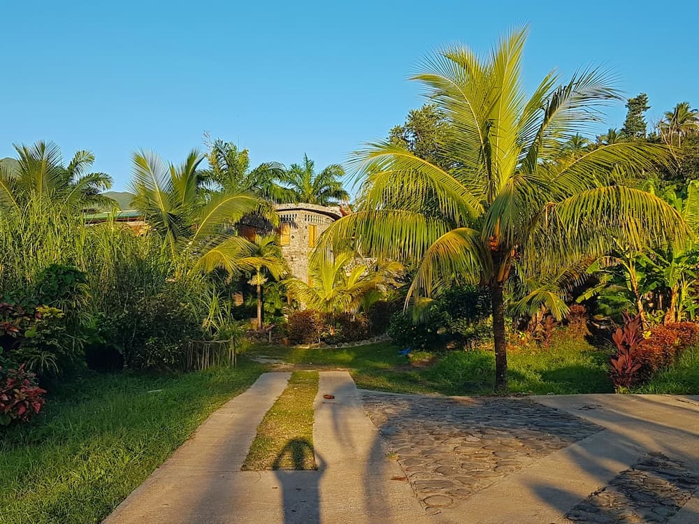 Citrus Creek Plantation - Photo 114