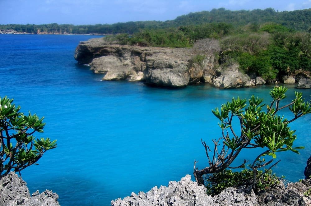 Great Huts - Photo 88