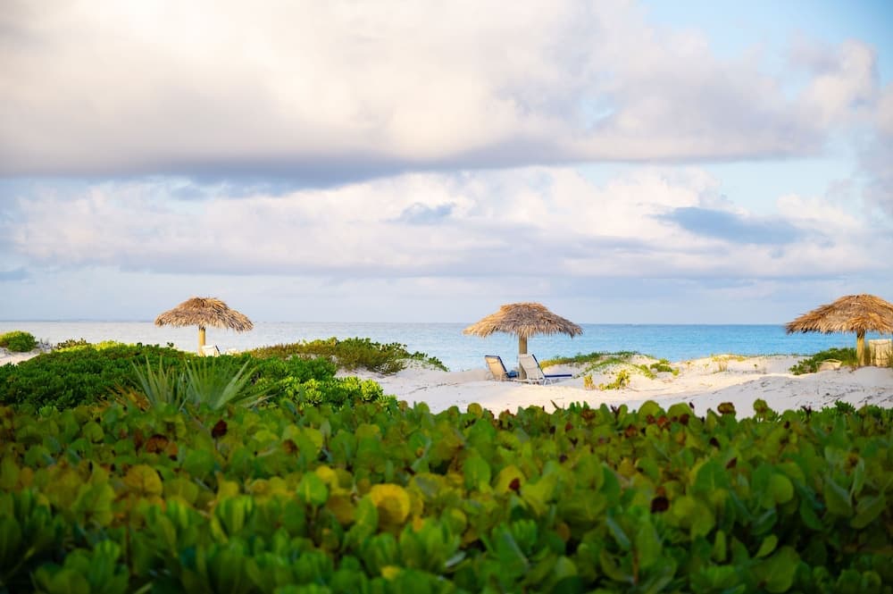 Pine Cay, Turks and Caicos - Photo 88