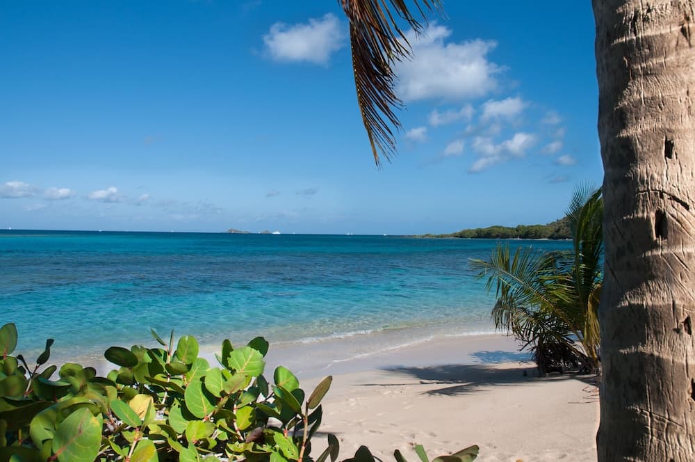 Mango Bay Resort - Photo 21