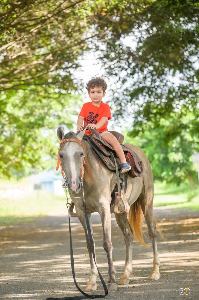 Hotel Caribbean Adventure - Photo 30