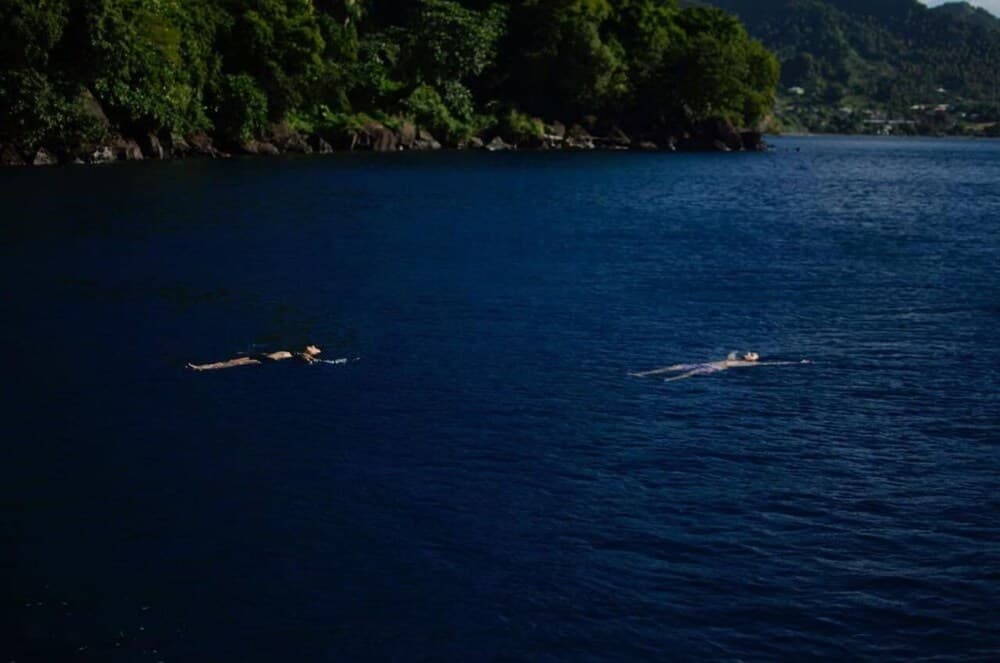 Richmond Vale Diving and Hiking Center - Hostel - Photo 37