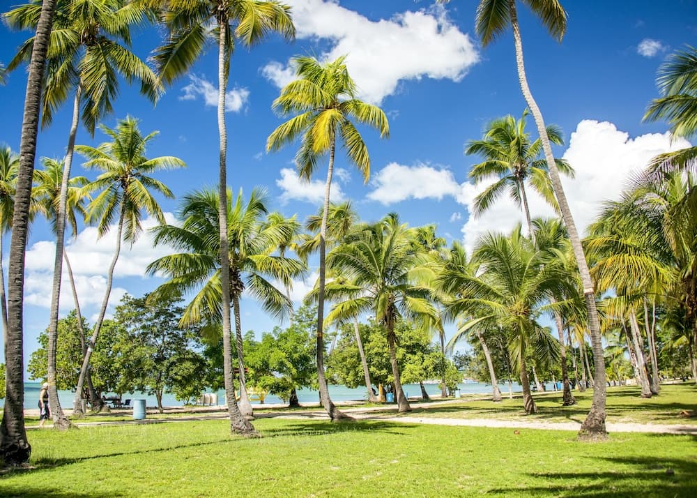 Aquarius Vacation Club at Boqueron Beach Resort - Photo 22