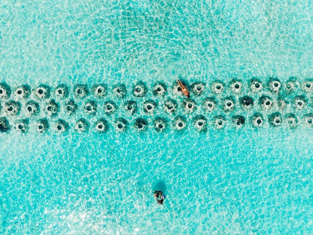 Pine Cay, Turks and Caicos - Photo 93