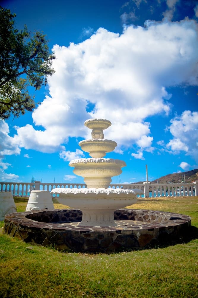 Bequia Plantation Hotel - Photo 101