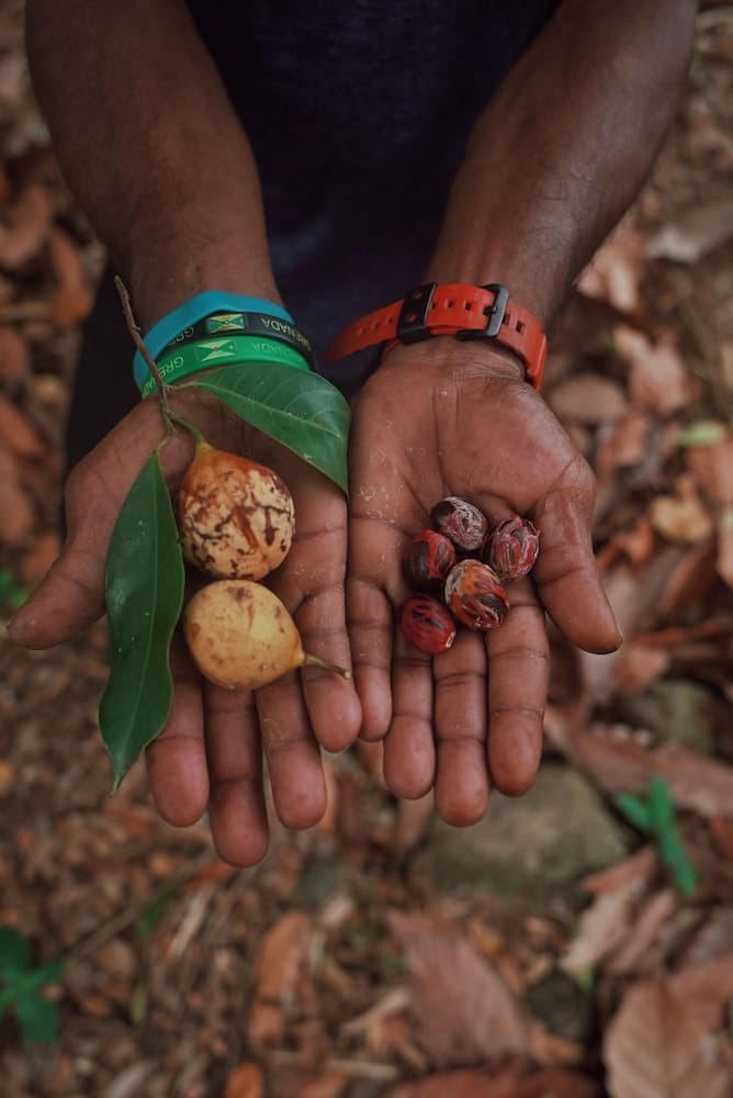 Mount Edgecombe Boutique Hotel - Photo 25