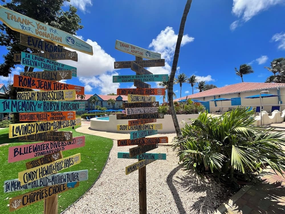 Divi Flamingo Beach Resort & Casino - Photo 70