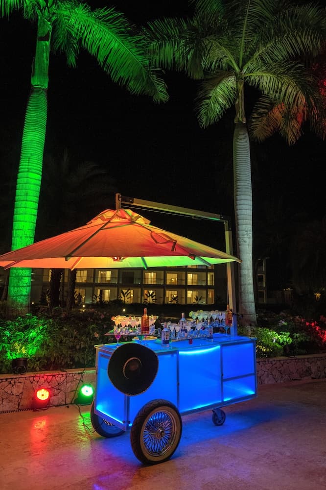 Viva V Samana by Wyndham, A Trademark Adults All Inclusive - Photo 88