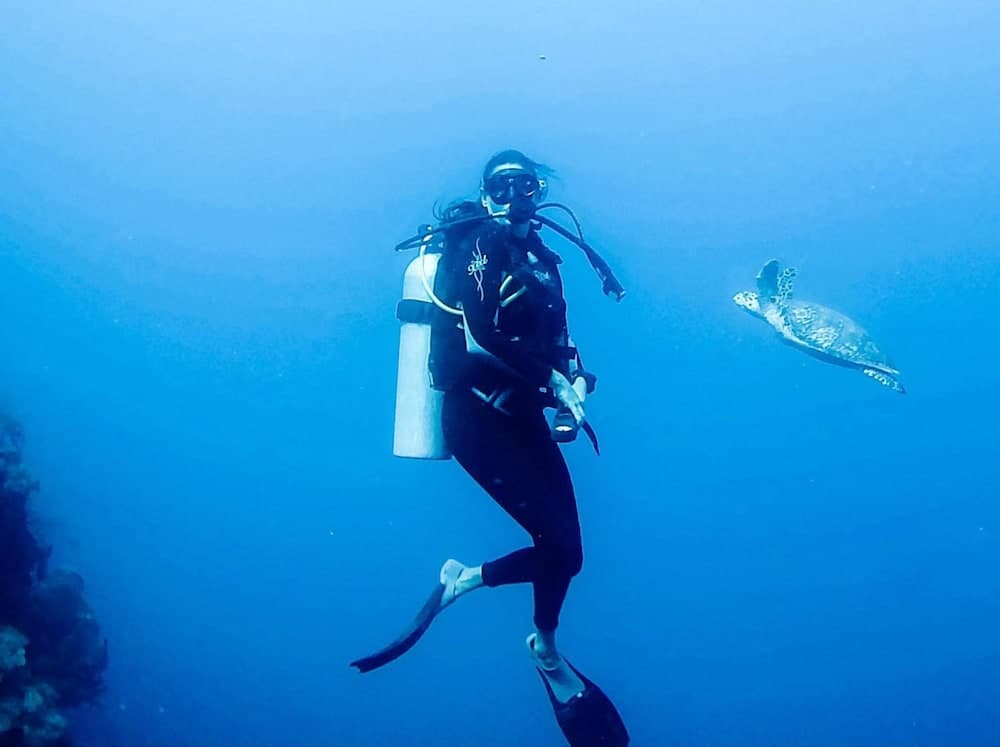 Osprey Beach Hotel - Photo 14