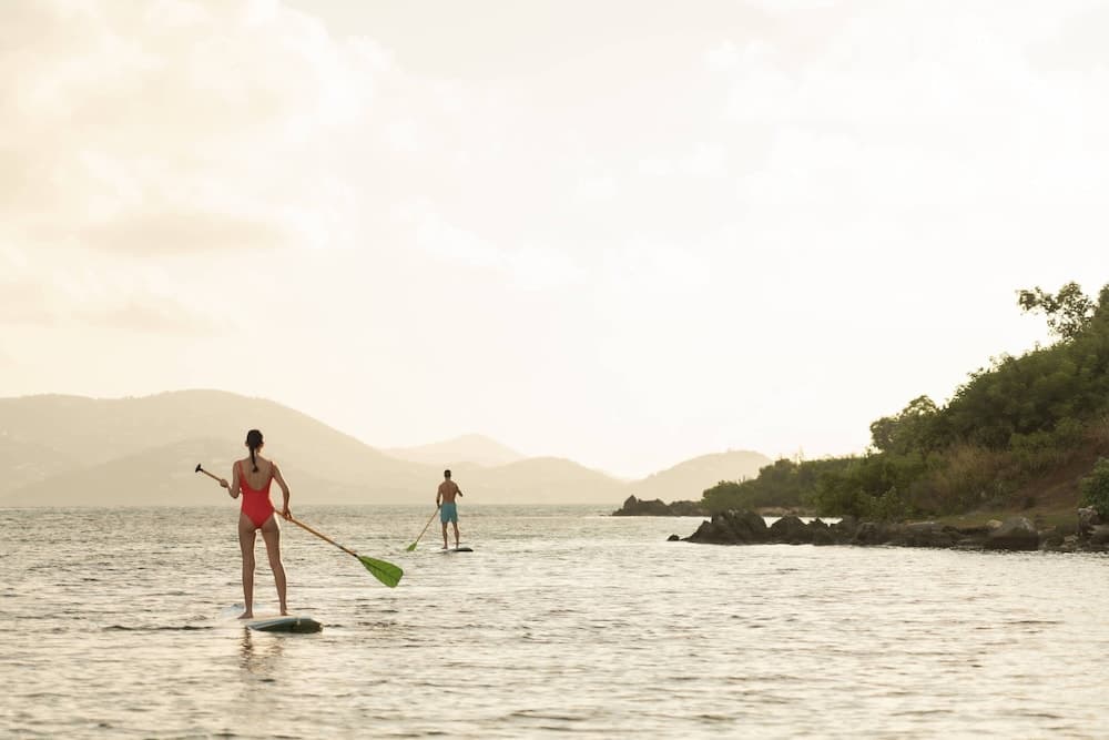 The Ritz-Carlton, St. Thomas - Photo 51