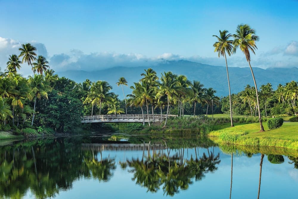 Four Seasons Resort and Residence Puerto Rico - Photo 50