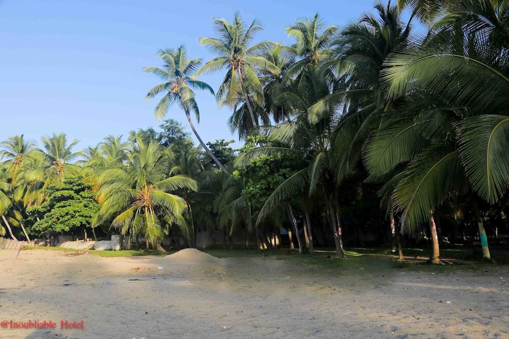 Hotel Inoubliable - Photo 51