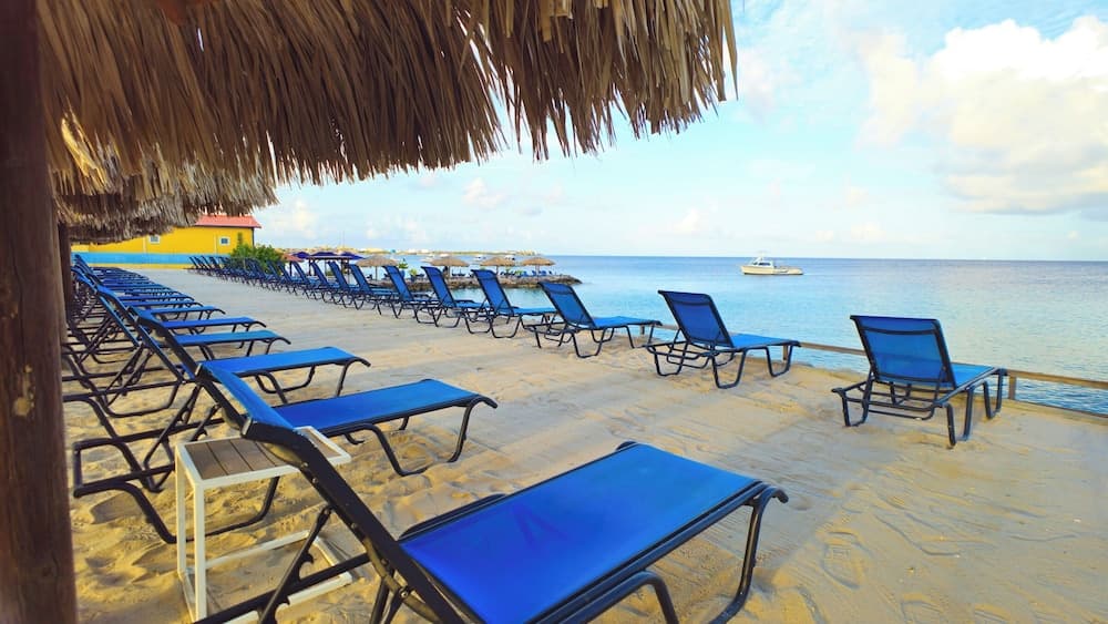 Divi Flamingo Beach Resort & Casino - Photo 64