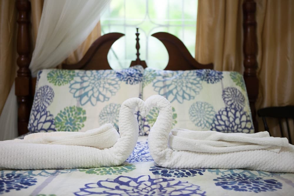 Casa da Buena Vista - Photo 6