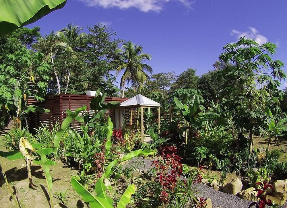 Citrus Creek Plantation - Photo 102