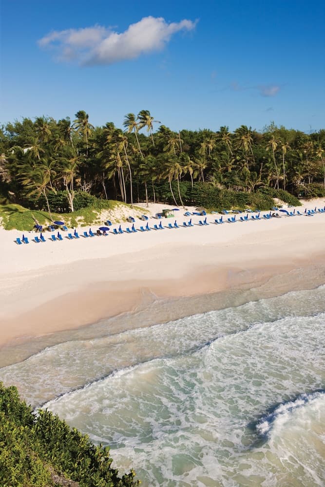 The Crane Resort - Photo 62