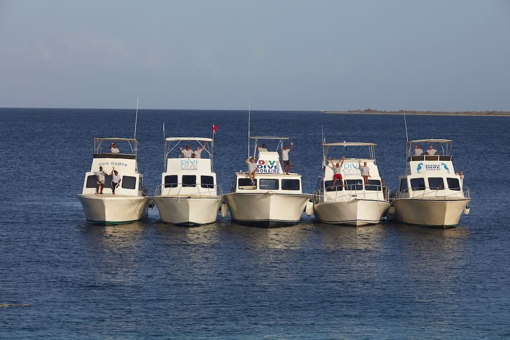 Divi Flamingo Beach Resort & Casino - Photo 40