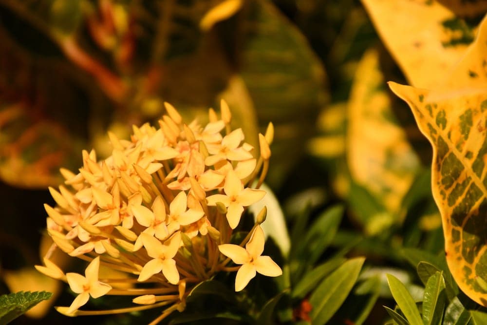 Hotel Alisei - Photo 89