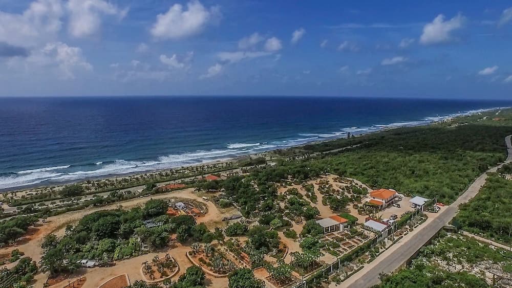 Le Soleil d'Or - Photo 18