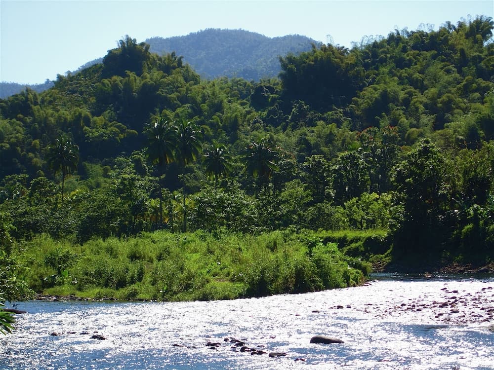Goblin Hill Villas at San San - Photo 166