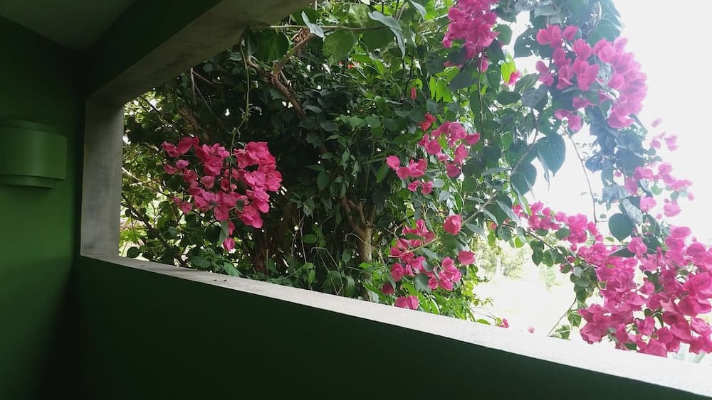 Hix Island House - Photo 31