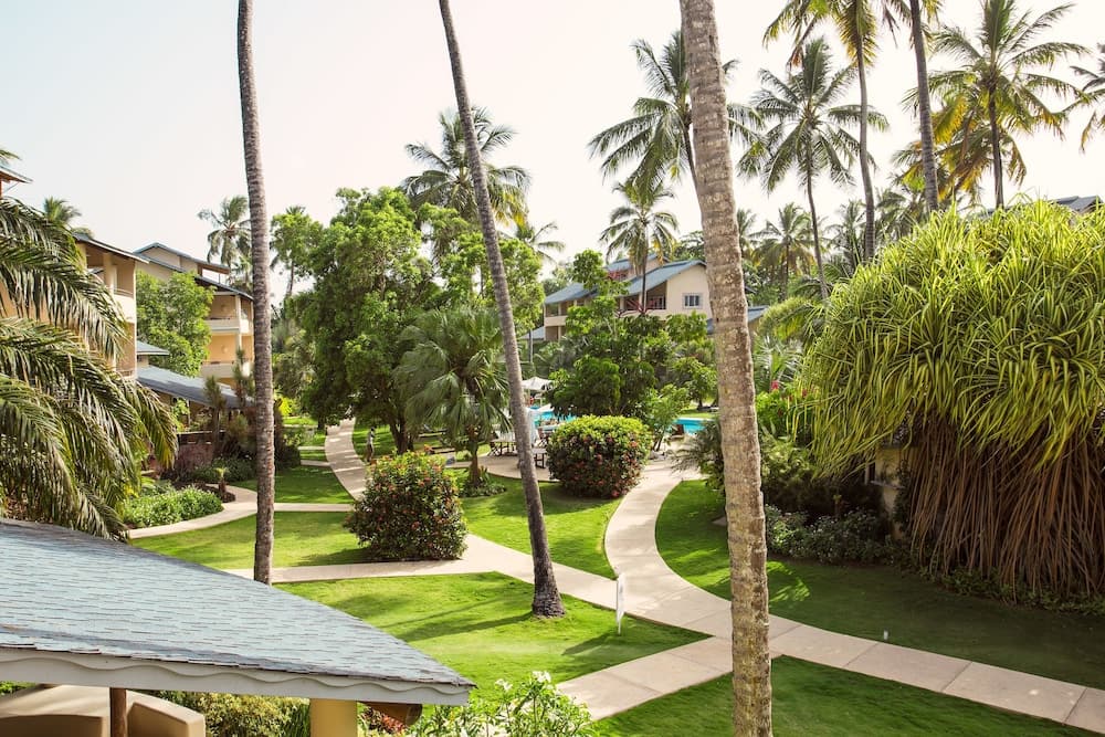 Hotel Alisei - Photo 29