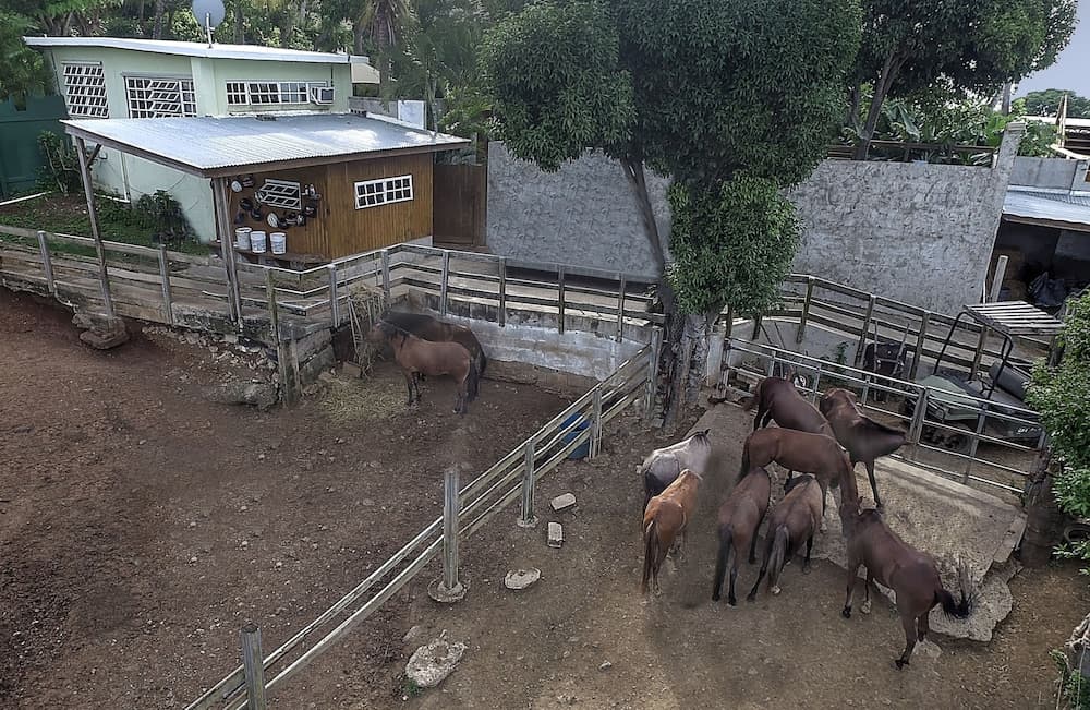 Sea Gate Hotel - Photo 41