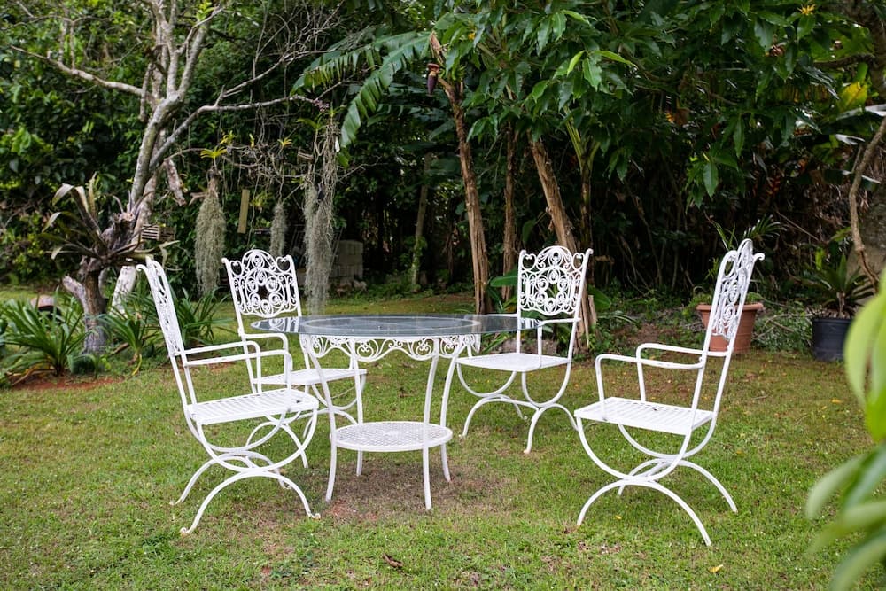 Casa da Buena Vista - Photo 40