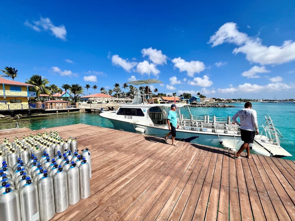 Divi Flamingo Beach Resort & Casino - Photo 66