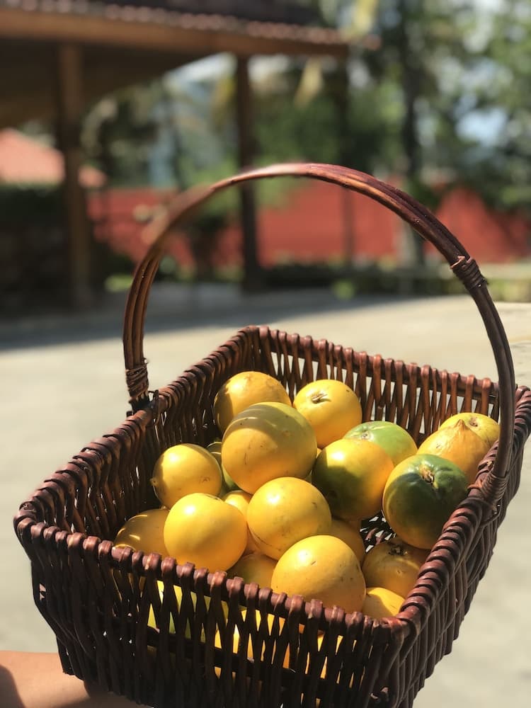 Hotel Rancho Guacamayos - Photo 104