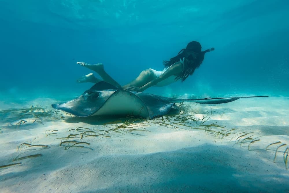 The Ritz-Carlton, Grand Cayman - Photo 118