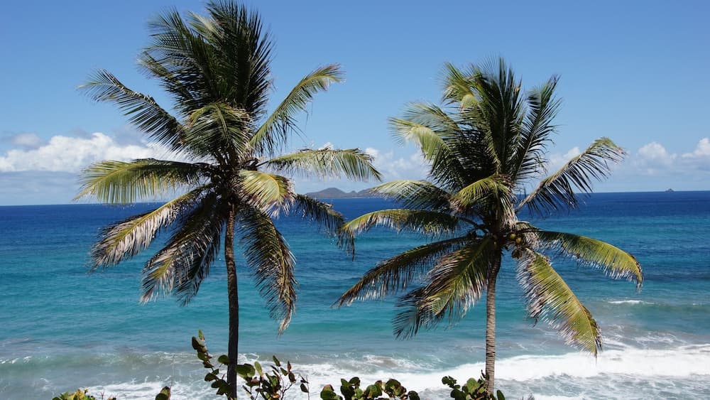 Petite Anse Hotel - Photo 26