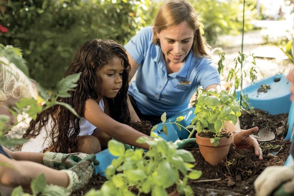 The Ritz-Carlton, Grand Cayman - Photo 116