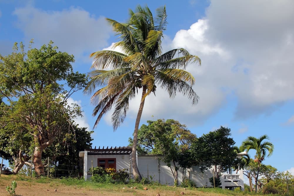 Hacienda Tamarindo - Photo 117