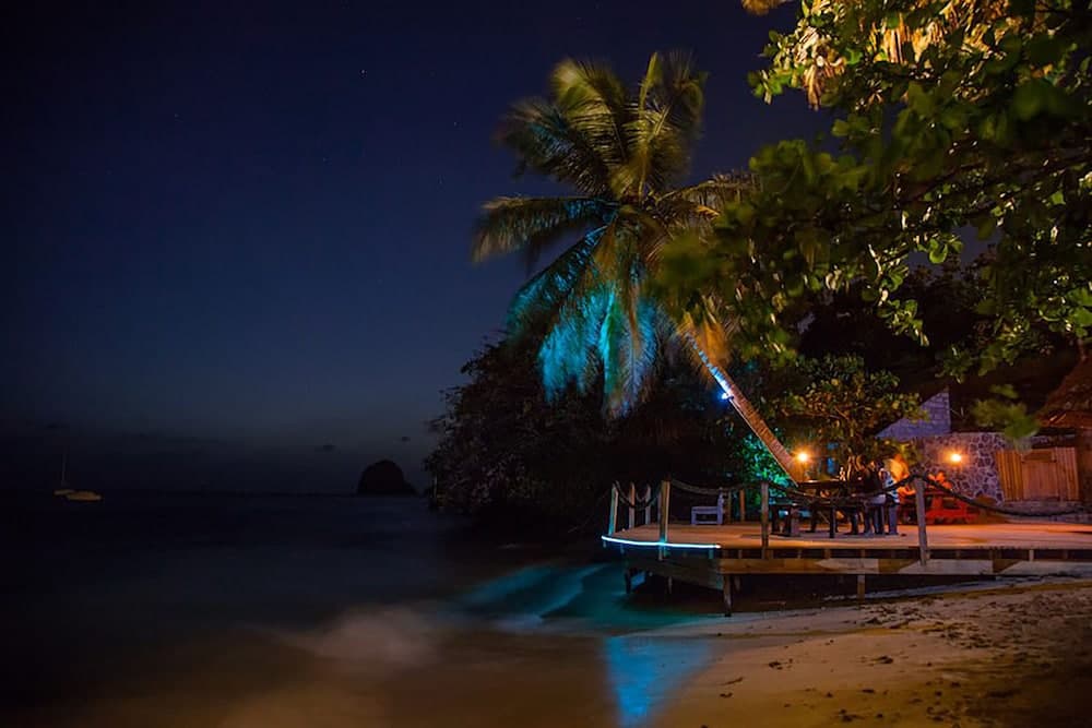 Blue Lagoon Hotel & Marina - Photo 45