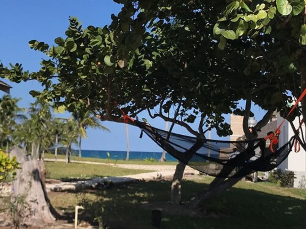 La Bougainvillea Hotel and Villas - Photo 155