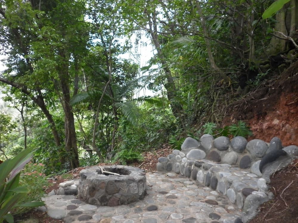 Citrus Creek Plantation - Photo 3