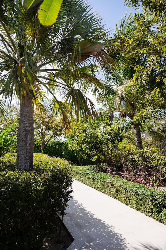 Pine Cay, Turks and Caicos - Photo 99