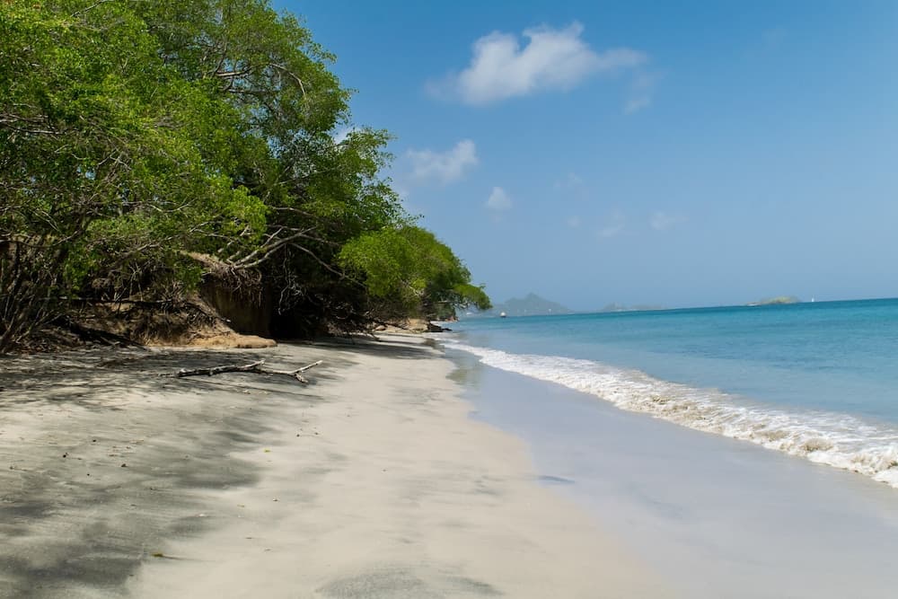 Bogles Round House - Photo 16