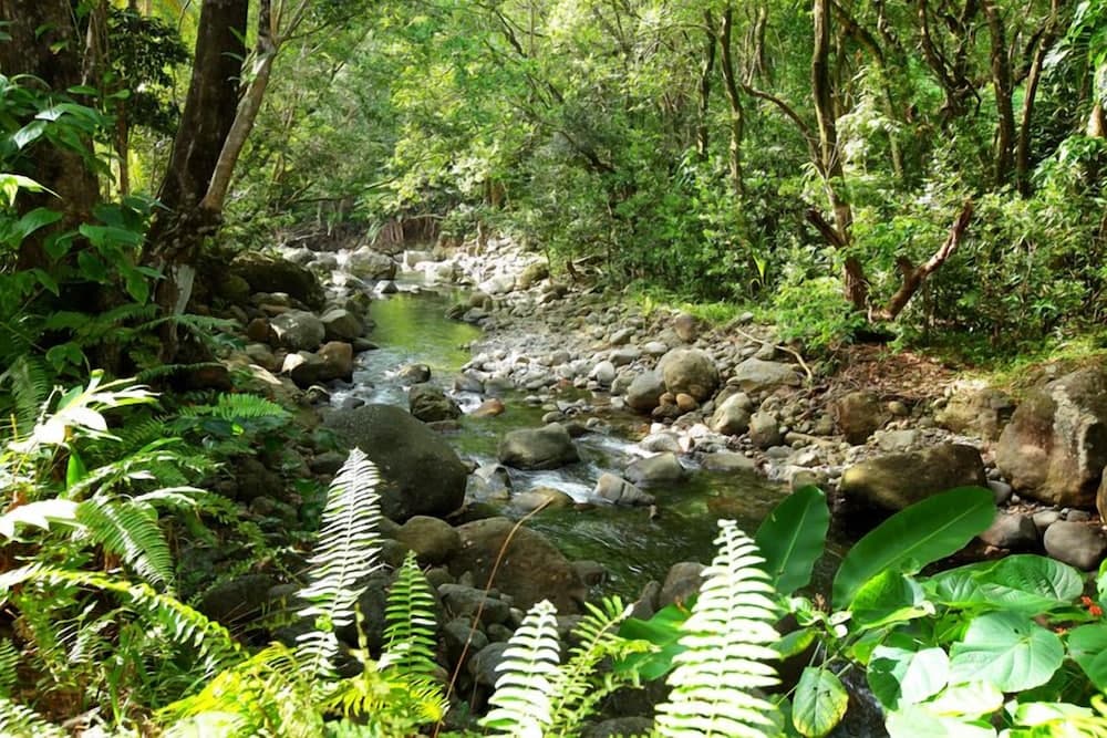 Citrus Creek Plantation - Photo 59